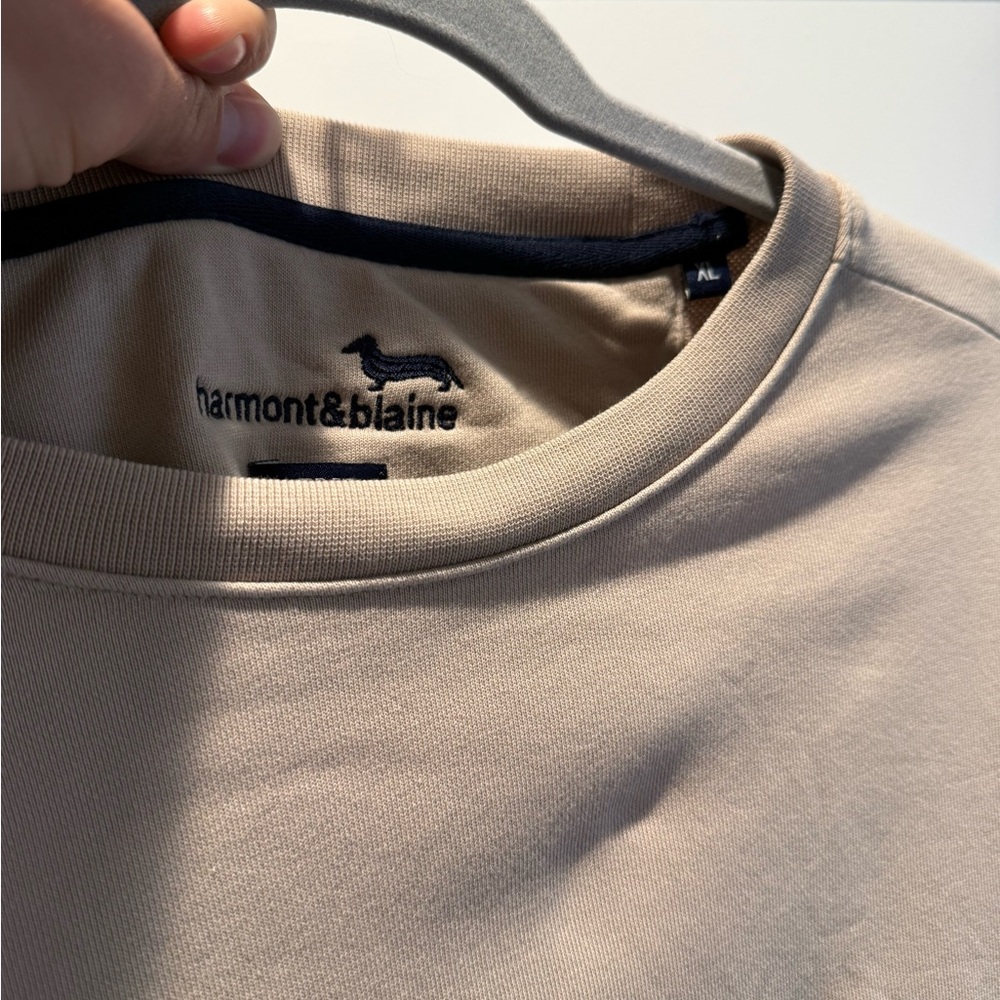 Harmont & Blaine Beige Graphic Sweatshirt with Colorful Logo - Picture 3 of 4